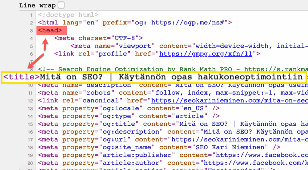 Mikä on title tagi ja miten se optimoidaan? | SEO Kari Nieminen